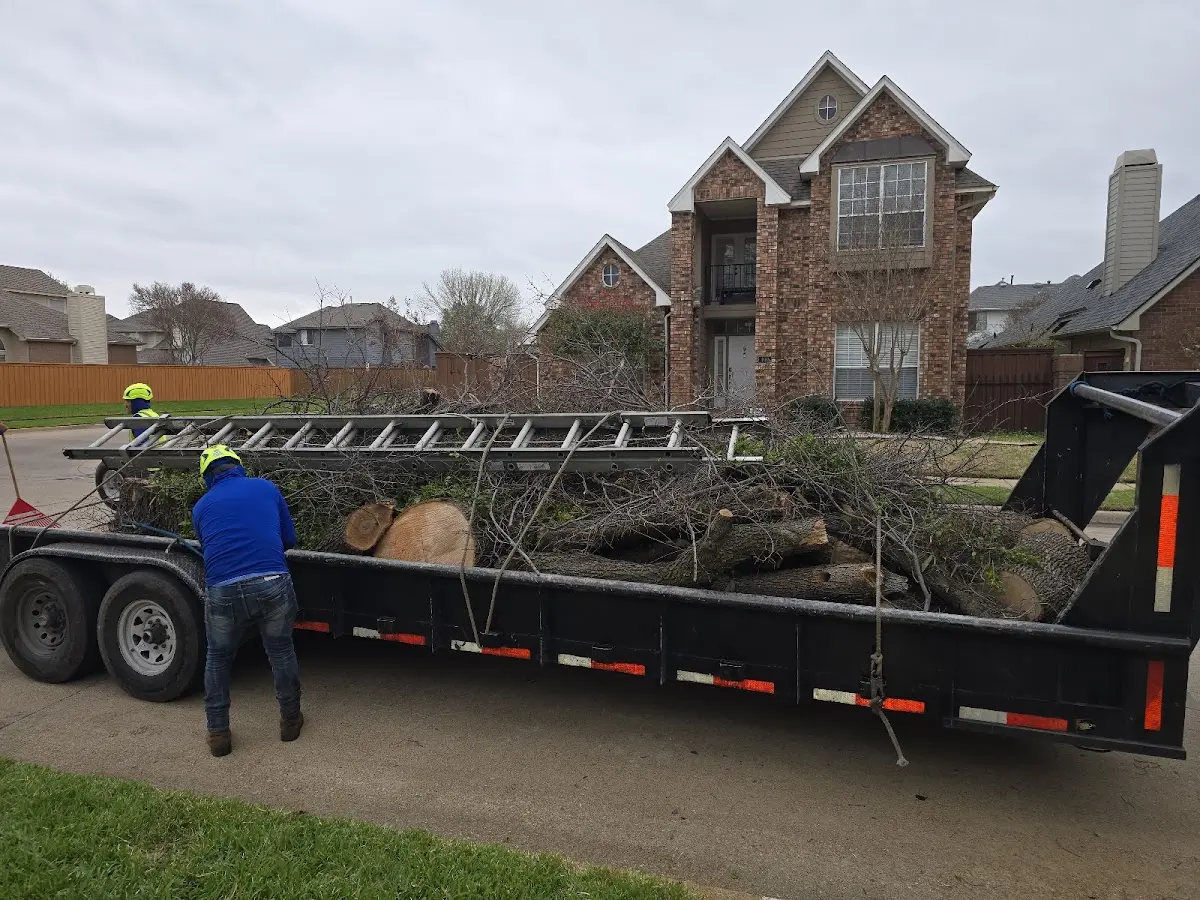 Expert Lot Clearing with proper safety equipment in Freeburg